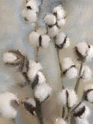 Sprays of Cotton 1 | Obraz na stenu