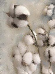 Sprays of Cotton 2 | Obraz na stenu