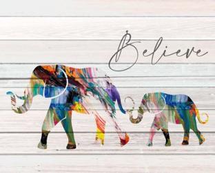 Believe Elephant | Obraz na stenu