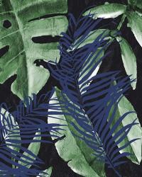 Tropic Palms 1 | Obraz na stenu