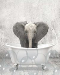 Baby Elephant Bath | Obraz na stenu