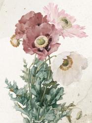 Vintage Flower | Obraz na stenu
