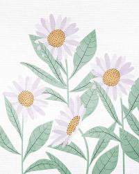 Daisies Floral | Obraz na stenu
