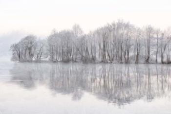 Mist Lake | Obraz na stenu