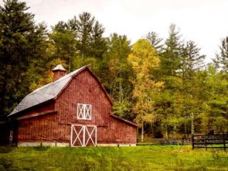 Quiet Barn | Obraz na stenu