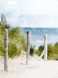 Pathway To The Beach | Obraz na stenu