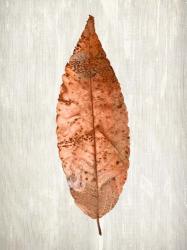 Copper Leaves 1 | Obraz na stenu