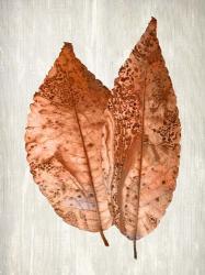 Copper Leaves 2 | Obraz na stenu