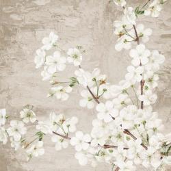 Blossoms | Obraz na stenu