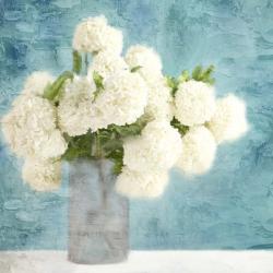 Hydrangea Vase | Obraz na stenu