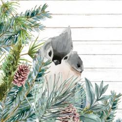 Winter Birds 4 | Obraz na stenu