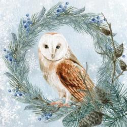 Winter Owl 1 | Obraz na stenu