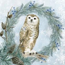 Winter Owl 3 | Obraz na stenu