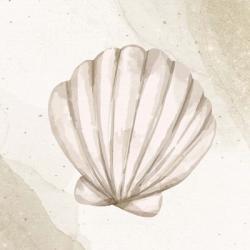 Calming Shell 2 | Obraz na stenu