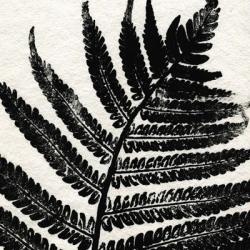 Pressed Fern 1 | Obraz na stenu