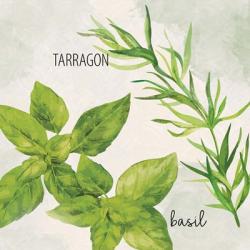 Fresh Herbs 1 | Obraz na stenu