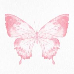 Butterfly Soar 2 | Obraz na stenu