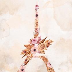 Paris Fall Blooms 1 | Obraz na stenu