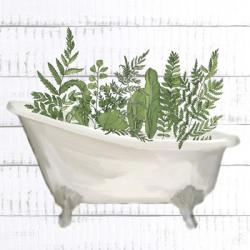 Fern Bath 1 | Obraz na stenu