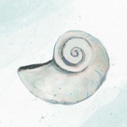 Seashore Shell 1 | Obraz na stenu