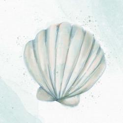Seashore Shell 2 | Obraz na stenu