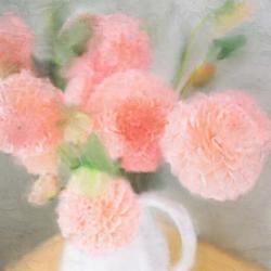 Pink Carnations | Obraz na stenu