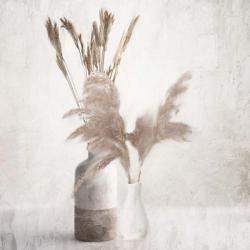 Dried Vases | Obraz na stenu