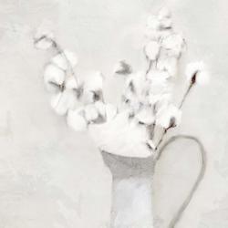 Vase Of Cotton | Obraz na stenu