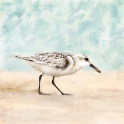 Sandpiper Walk 1 | Obraz na stenu