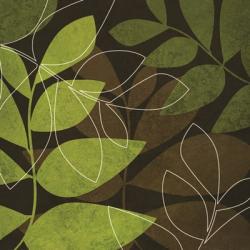 Green Brown Leaves | Obraz na stenu