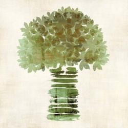 Broccoli | Obraz na stenu