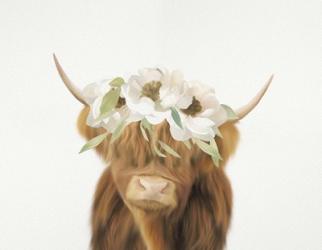 Highland Cow | Obraz na stenu