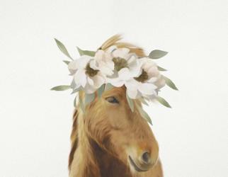 Floral Horse | Obraz na stenu