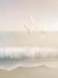 The Gulls | Obraz na stenu