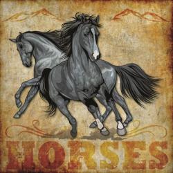 Horses 01 | Obraz na stenu