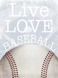 Baseball Love | Obraz na stenu