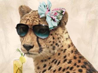 Cool Safari Cat | Obraz na stenu