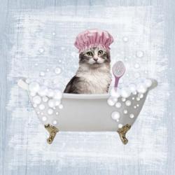 Fun Kitty Bath 1 | Obraz na stenu