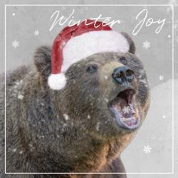 Winter Joy | Obraz na stenu