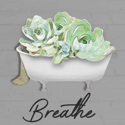Breathe Succulent | Obraz na stenu