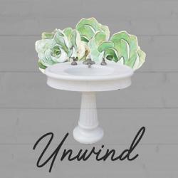 Unwind Succulent | Obraz na stenu