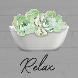 Relaxed Succulent | Obraz na stenu