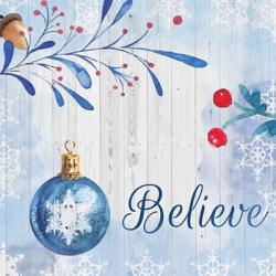 Christmas Believe | Obraz na stenu