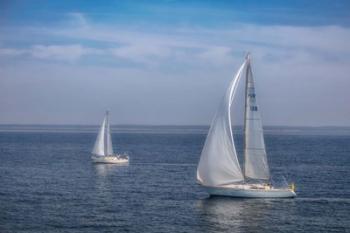 Sail Boats | Obraz na stenu