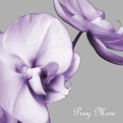 Praying Orchids | Obraz na stenu