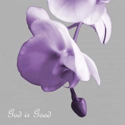 Godly Good Orchids | Obraz na stenu