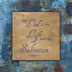 My Salvation Winter Rain | Obraz na stenu