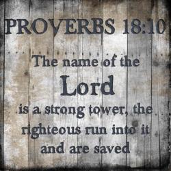Proverbs 18-10 | Obraz na stenu