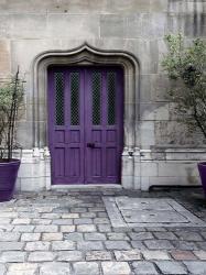 Purple Door 4 | Obraz na stenu