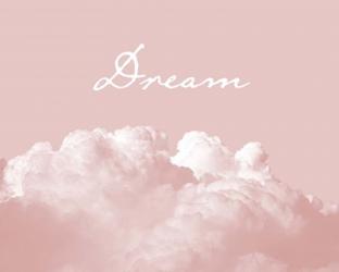 Blush Pink Dream | Obraz na stenu